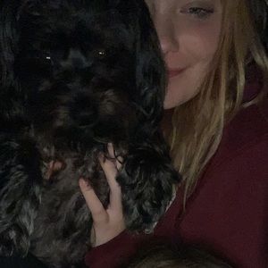 Meet your Posher, Alison